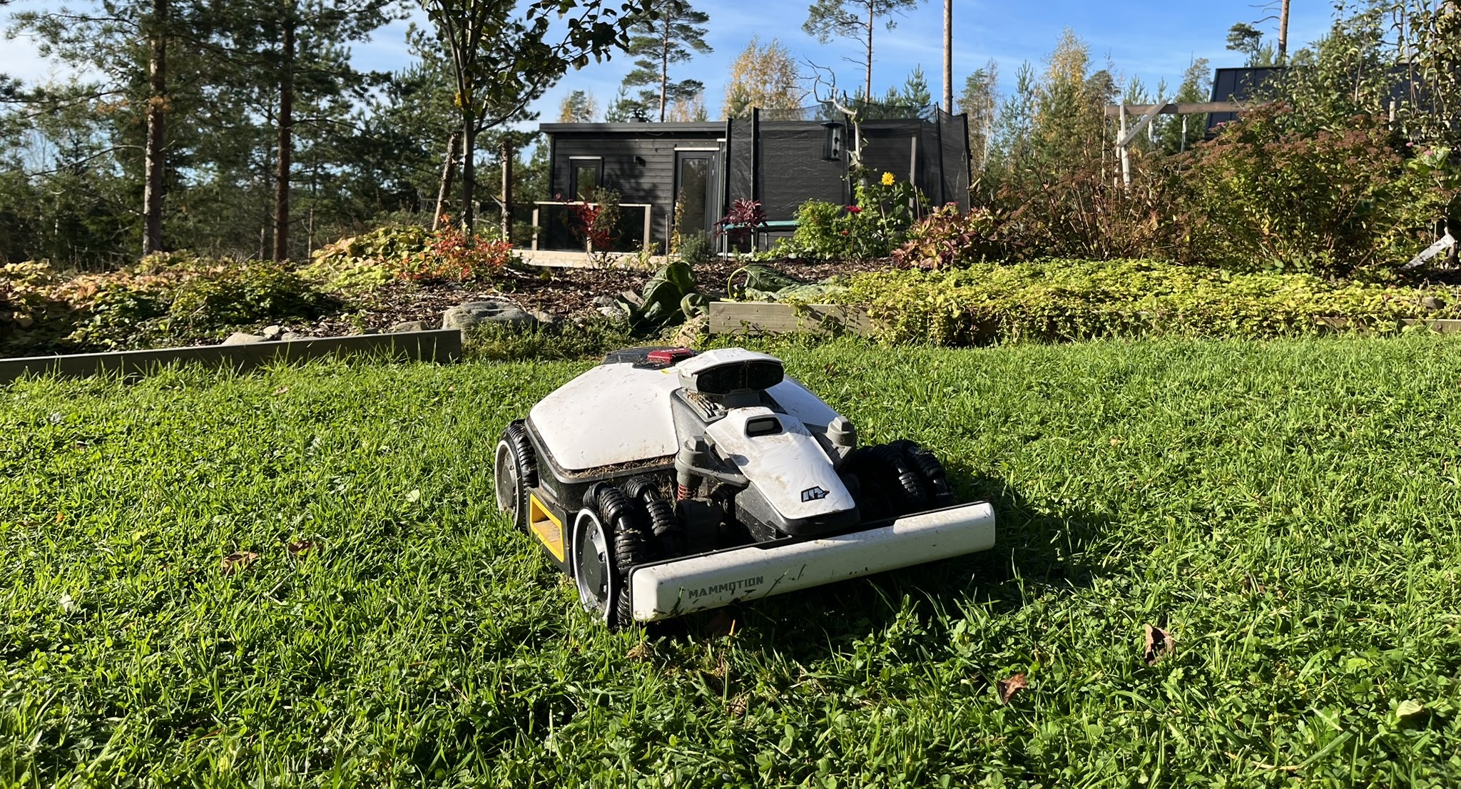 Robottiruohonleikkuri leikkaa nurmikkoa